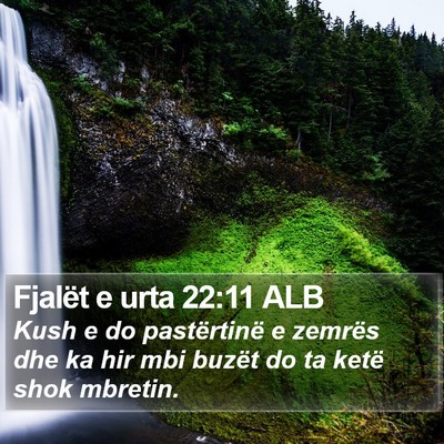 Fjalët e urta 22:11 ALB Bible Verse Image