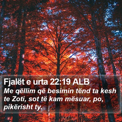 Fjalët e urta 22:19 ALB Bible Verse Image