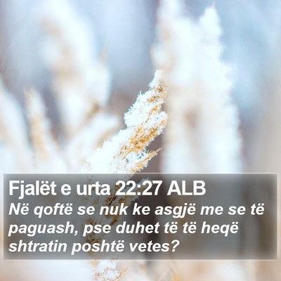 Fjalët e urta 22:27 ALB Bible Verse Image