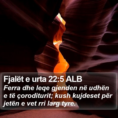 Fjalët e urta 22:5 ALB Bible Verse Image