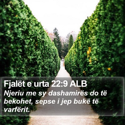 Fjalët e urta 22:9 ALB Bible Verse Image