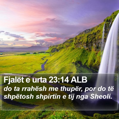 Fjalët e urta 23:14 ALB Bible Verse Image