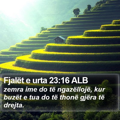 Fjalët e urta 23:16 ALB Bible Verse Image