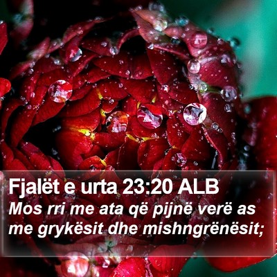 Fjalët e urta 23:20 ALB Bible Verse Image