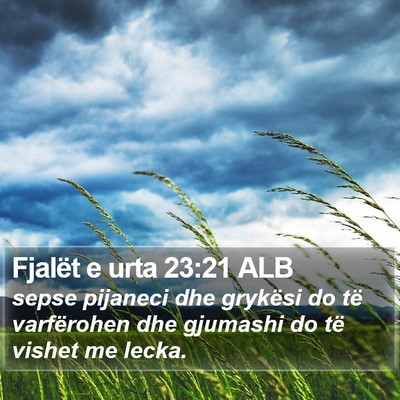 Fjalët e urta 23:21 ALB Bible Verse Image