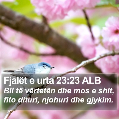Fjalët e urta 23:23 ALB Bible Verse Image