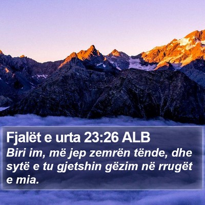 Fjalët e urta 23:26 ALB Bible Verse Image