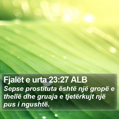 Fjalët e urta 23:27 ALB Bible Verse Image