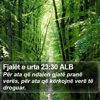 Fjalët e urta 23:30 ALB Bible Verse Image