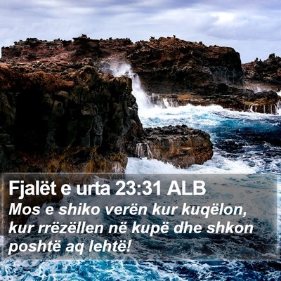 Fjalët e urta 23:31 ALB Bible Verse Image