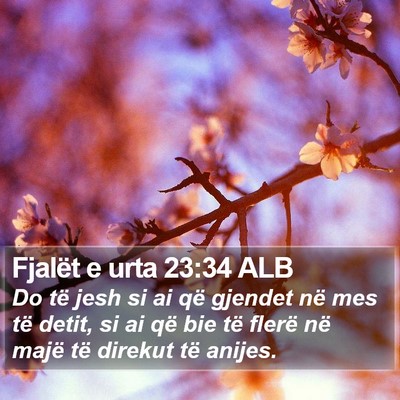 Fjalët e urta 23:34 ALB Bible Verse Image
