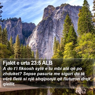 Fjalët e urta 23:5 ALB Bible Verse Image