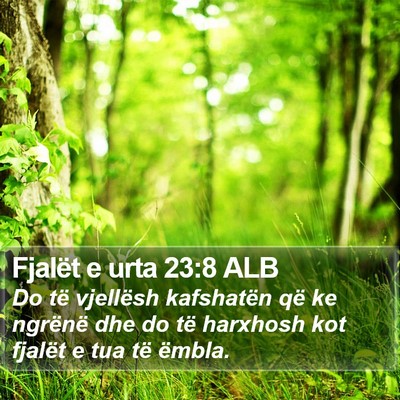 Fjalët e urta 23:8 ALB Bible Verse Image