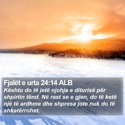 Fjalët e urta 24:14 ALB Bible Verse Image