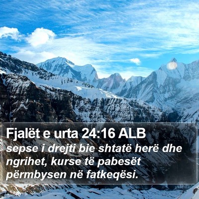 Fjalët e urta 24:16 ALB Bible Verse Image