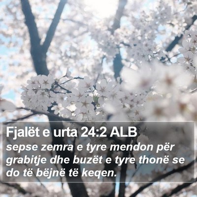 Fjalët e urta 24:2 ALB Bible Verse Image