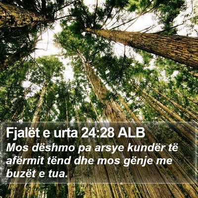 Fjalët e urta 24:28 ALB Bible Verse Image