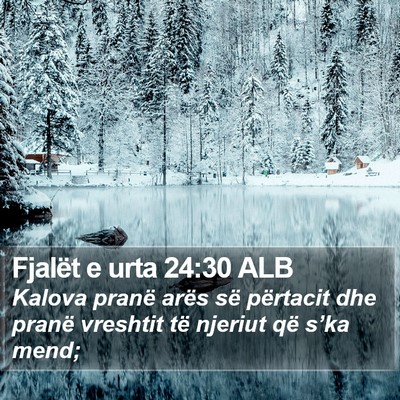 Fjalët e urta 24:30 ALB Bible Verse Image