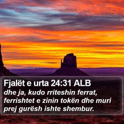 Fjalët e urta 24:31 ALB Bible Verse Image