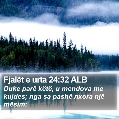 Fjalët e urta 24:32 ALB Bible Verse Image
