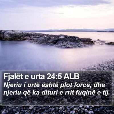 Fjalët e urta 24:5 ALB Bible Verse Image