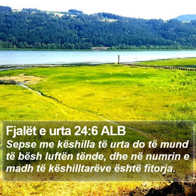 Fjalët e urta 24:6 ALB Bible Verse Image