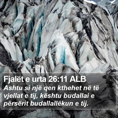 Fjalët e urta 26:11 ALB Bible Verse Image