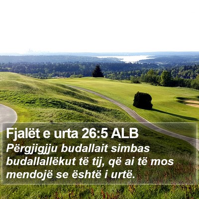 Fjalët e urta 26:5 ALB Bible Verse Image