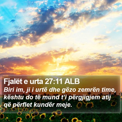 Fjalët e urta 27:11 ALB Bible Verse Image
