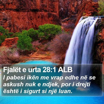 Fjalët e urta 28:1 ALB Bible Verse Image