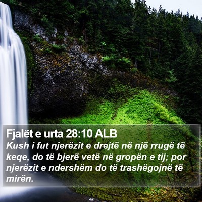 Fjalët e urta 28:10 ALB Bible Verse Image