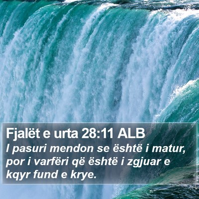 Fjalët e urta 28:11 ALB Bible Verse Image