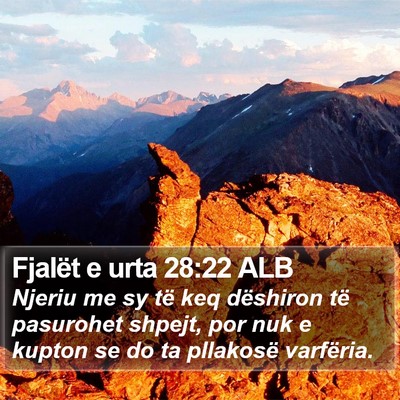 Fjalët e urta 28:22 ALB Bible Verse Image