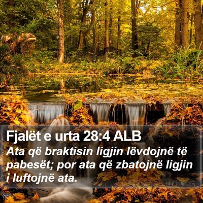 Fjalët e urta 28:4 ALB Bible Verse Image