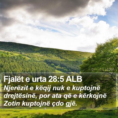 Fjalët e urta 28:5 ALB Bible Verse Image