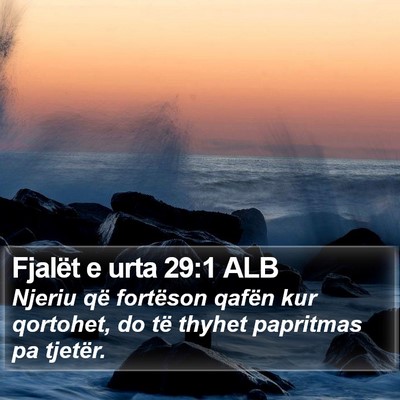 Fjalët e urta 29:1 ALB Bible Verse Image