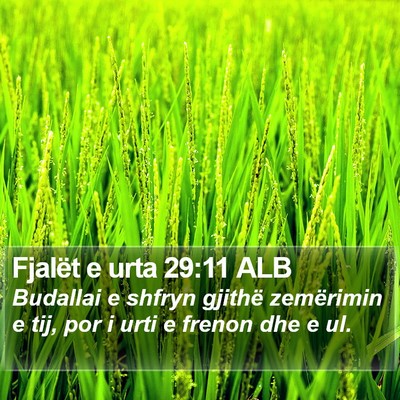 Fjalët e urta 29:11 ALB Bible Verse Image