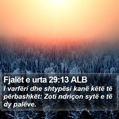 Fjalët e urta 29:13 ALB Bible Verse Image