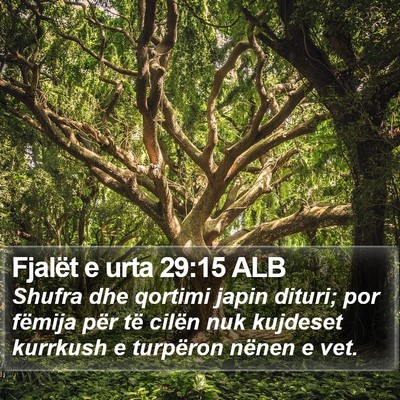 Fjalët e urta 29:15 ALB Bible Verse Image
