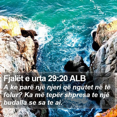Fjalët e urta 29:20 ALB Bible Verse Image