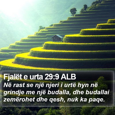 Fjalët e urta 29:9 ALB Bible Verse Image