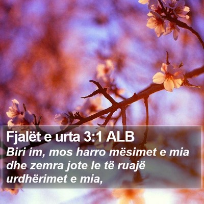 Fjalët e urta 3:1 ALB Bible Verse Image
