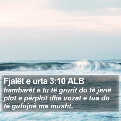 Fjalët e urta 3:10 ALB Bible Verse Image