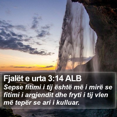 Fjalët e urta 3:14 ALB Bible Verse Image