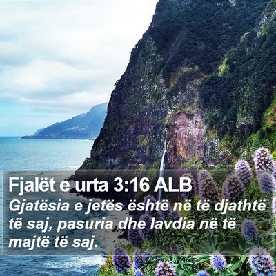 Fjalët e urta 3:16 ALB Bible Verse Image