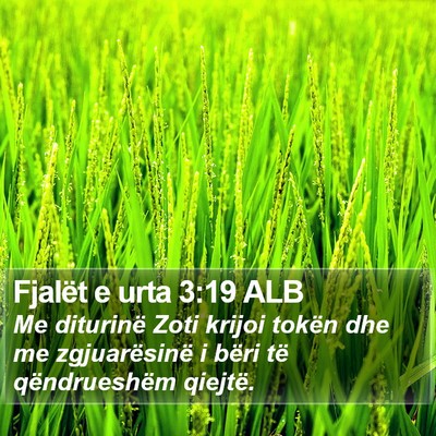 Fjalët e urta 3:19 ALB Bible Verse Image