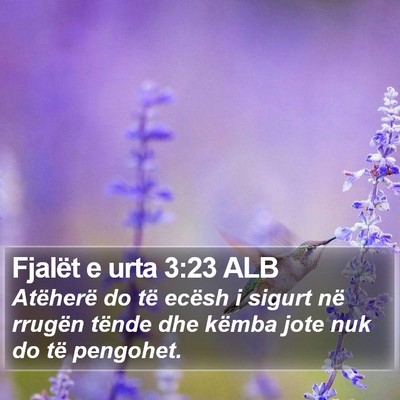 Fjalët e urta 3:23 ALB Bible Verse Image