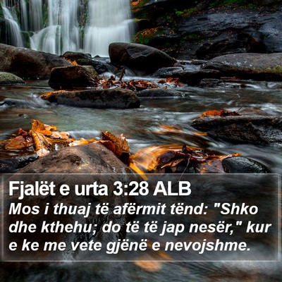 Fjalët e urta 3:28 ALB Bible Verse Image