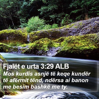 Fjalët e urta 3:29 ALB Bible Verse Image