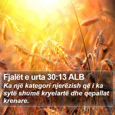Fjalët e urta 30:13 ALB Bible Verse Image
